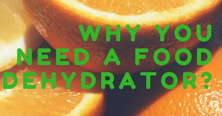 why you need a food dehydrator