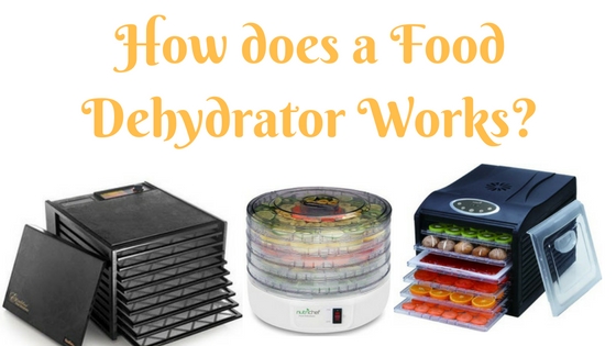 How does a Food Dehydrator Works