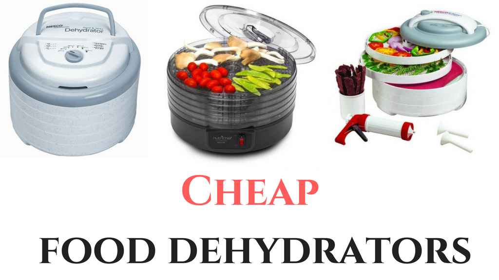 Top 10 Cheap Food Dehydrators you can Buy