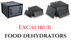 Excalibur food dehydrators