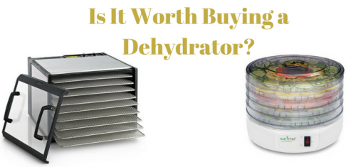 Is It Worth Buying a Dehydrator