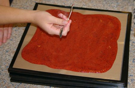 How to Use Parchment Paper in Your Dehydrator