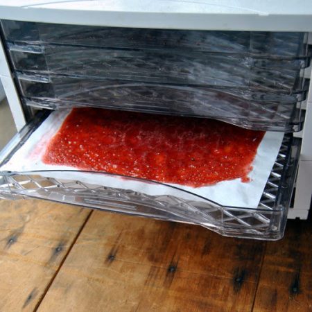 Parcment Paper in a Food Dehydrator Tray