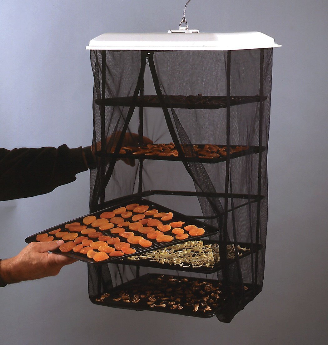 hanging-raw-food-dehydrator-review-solar-powered