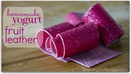 Recipe 54: Homemade Yogurt Fruit Leather