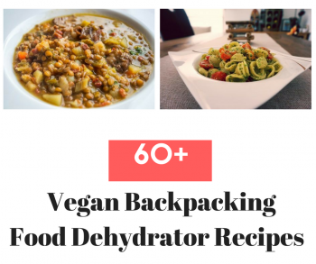 Vegan Backpacking Food Dehydrator Recipes