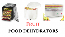 best fruit dehydrators