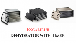 Excalibur Dehydrator with Timer