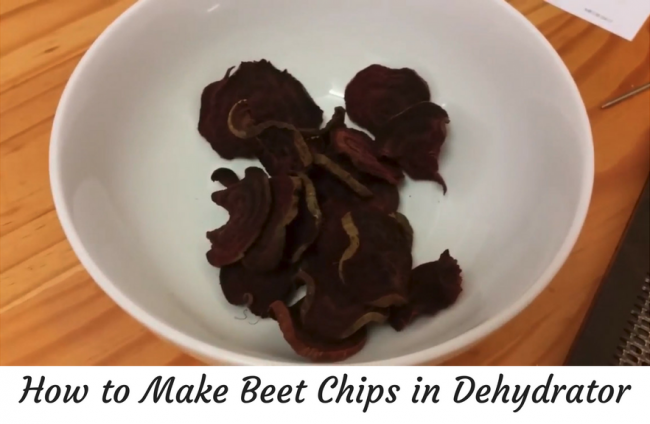 beet chips dehydrator