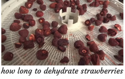 how long to dehydrate strawberries