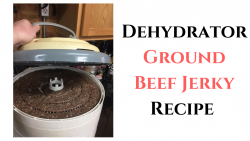 Ground Beef Jerky Recipe Dehydrator