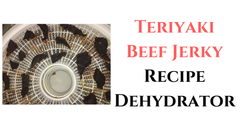 Teriyaki Beef Jerky Recipe Dehydrator